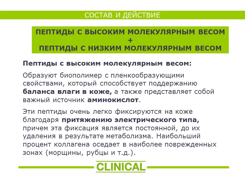 Пептиды с высоким молекулярным весом:   Образуют биополимер с пленкообразующими свойствами, который способствует